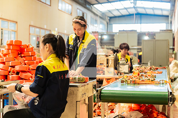 辰力集團 吊裝帶生產(chǎn)廠家